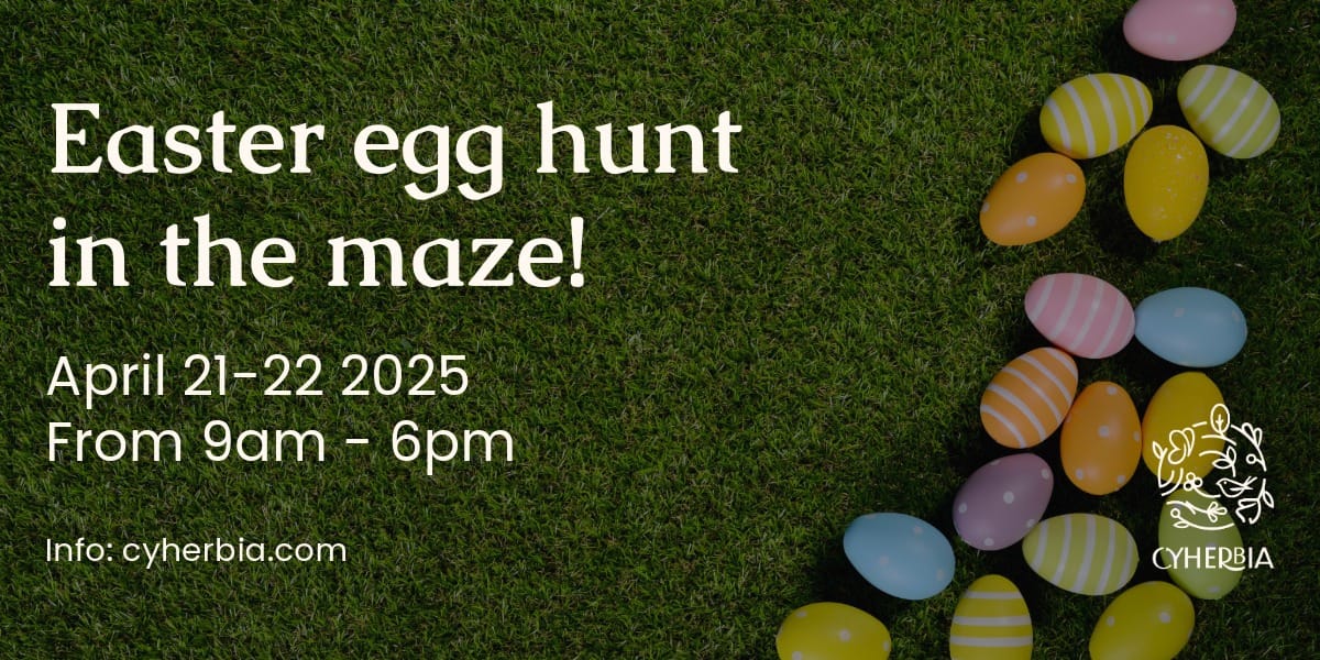 Easter Egg Hunt in the Maze_n Easter egg hunt in the maze n