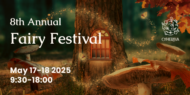 Fairy festival small