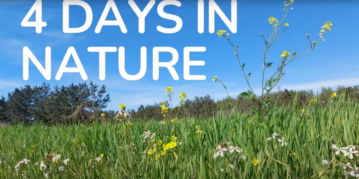 ​​4 days in nature