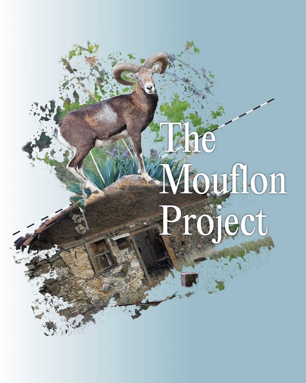 The Mouflon Project