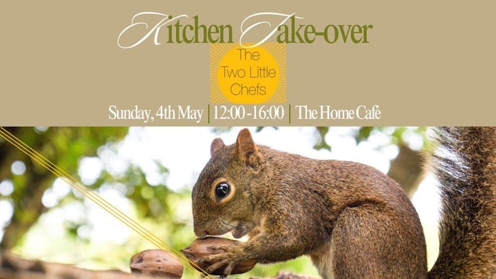 The two little chefs kitchen take over