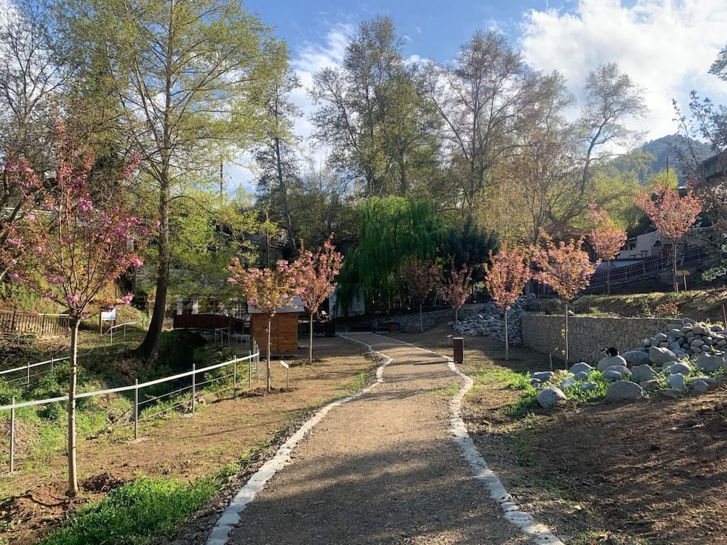 Γιορτή της Ανθοφορίας των Κερασιών Sakura