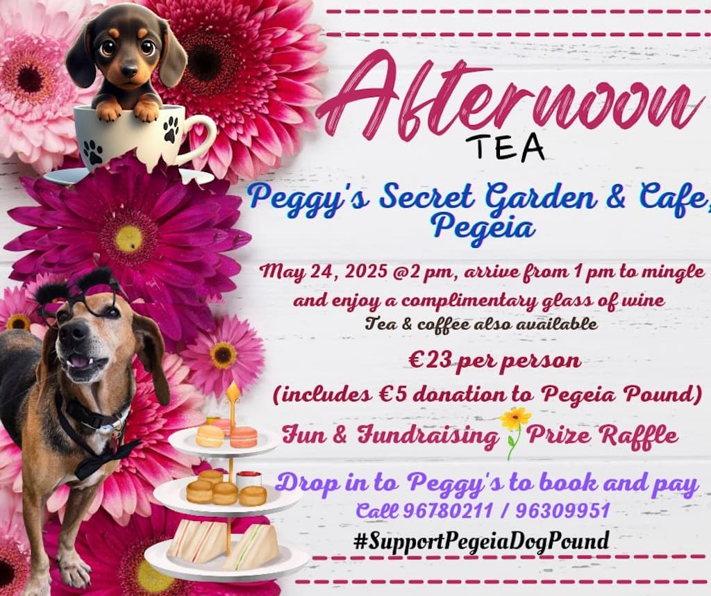 Afternoon tea at peggy s secret garden cafe bar