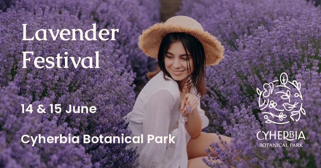 lavender-festival-june-25 Lavender festival june 25