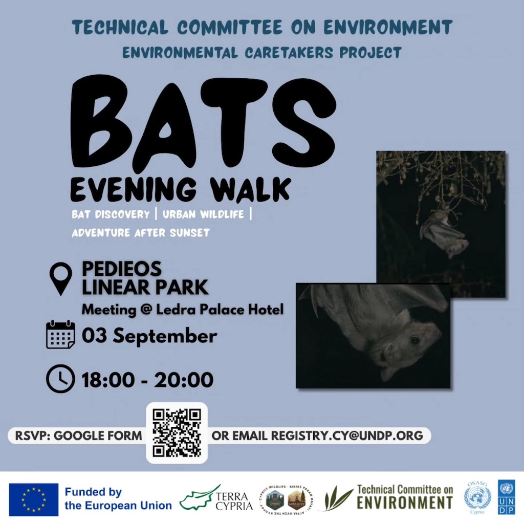 bats-evening-walk-sep-25 Bats evening walk sep 25