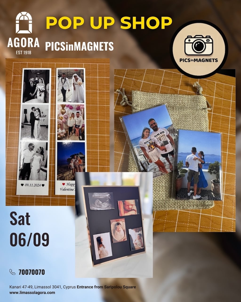pigs-in-magnets-popup-sep-25 Pigs in magnets popup sep 25