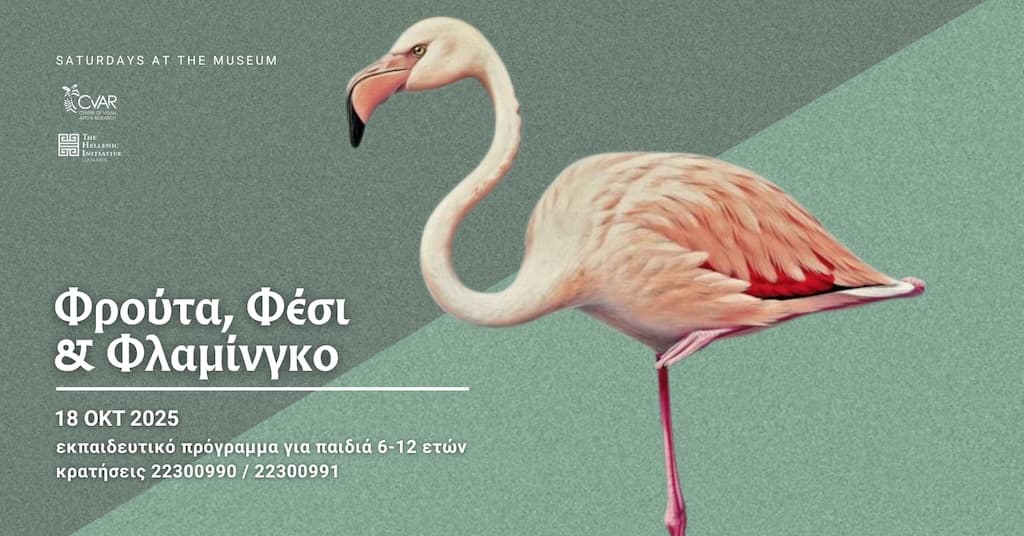 frouta-fesi-kai-flamingo-oct-25 Frouta fesi kai flamingo oct 25