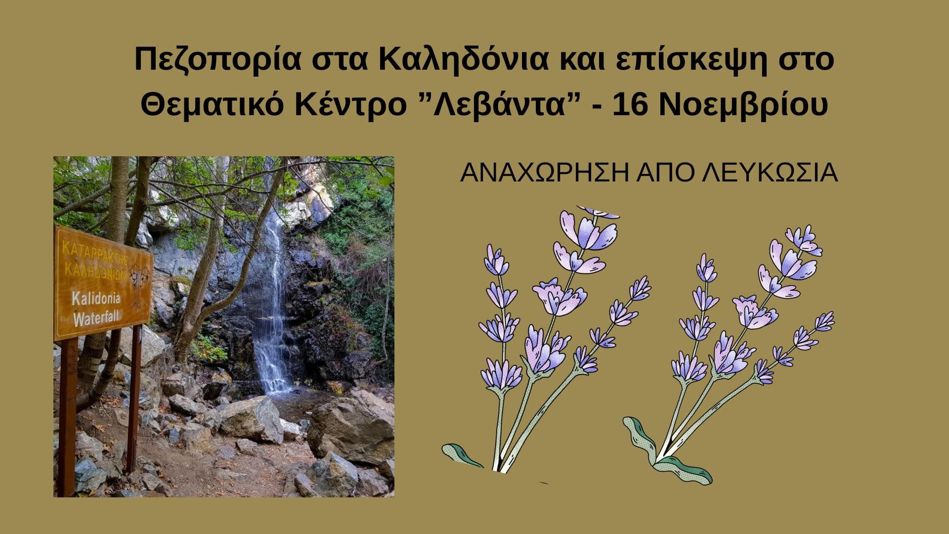 pezoporia-kalidonia-episkepsi-levanta-nov-25 Pezoporia kalidonia episkepsi levanta nov 25