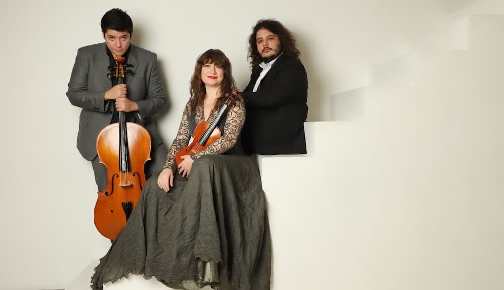 Waldstein piano trio oct 25