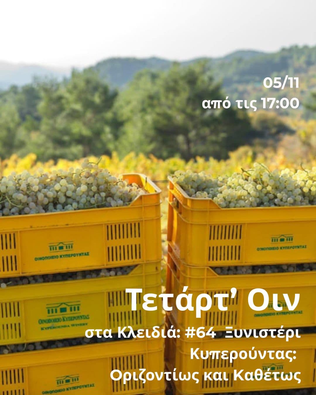 Tetartoin nov