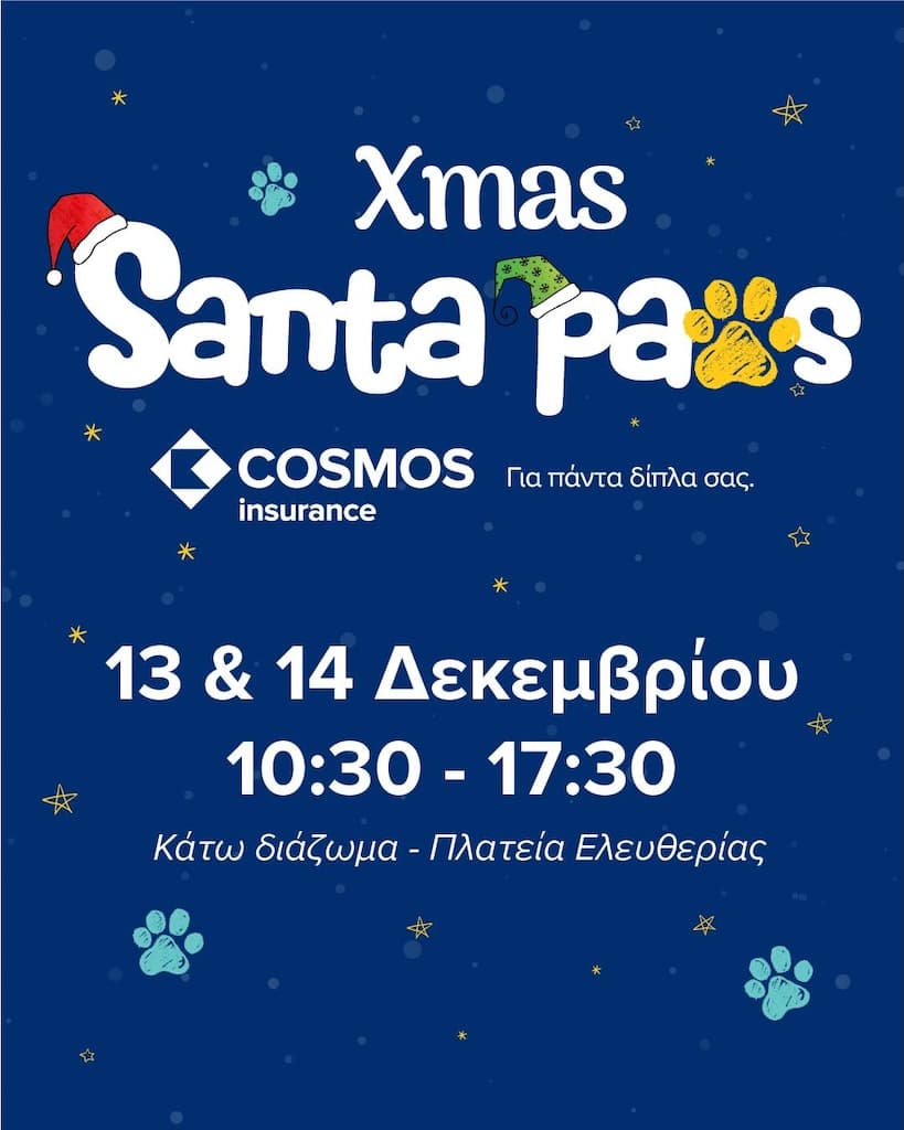 Xmas santa paws dec