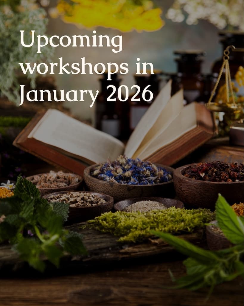 Cyherbia workshops jan