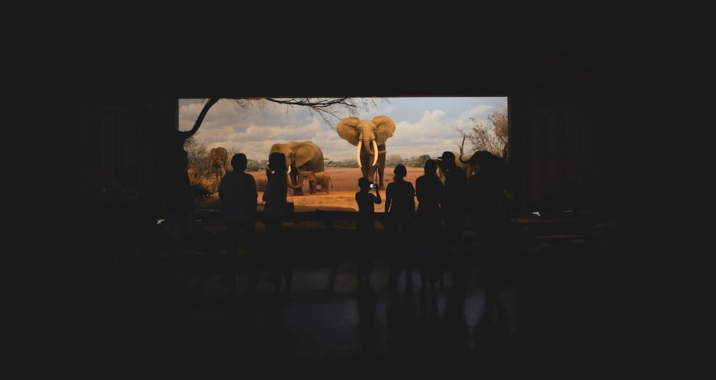 summer-cinema-tuesdays-july-26 Summer cinema tuesdays july