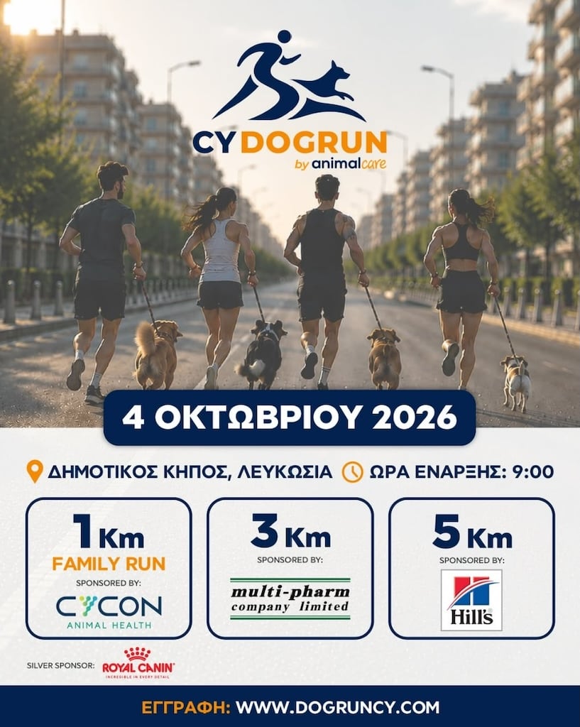 CY Dog Run